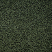 Alpine Forest 162
